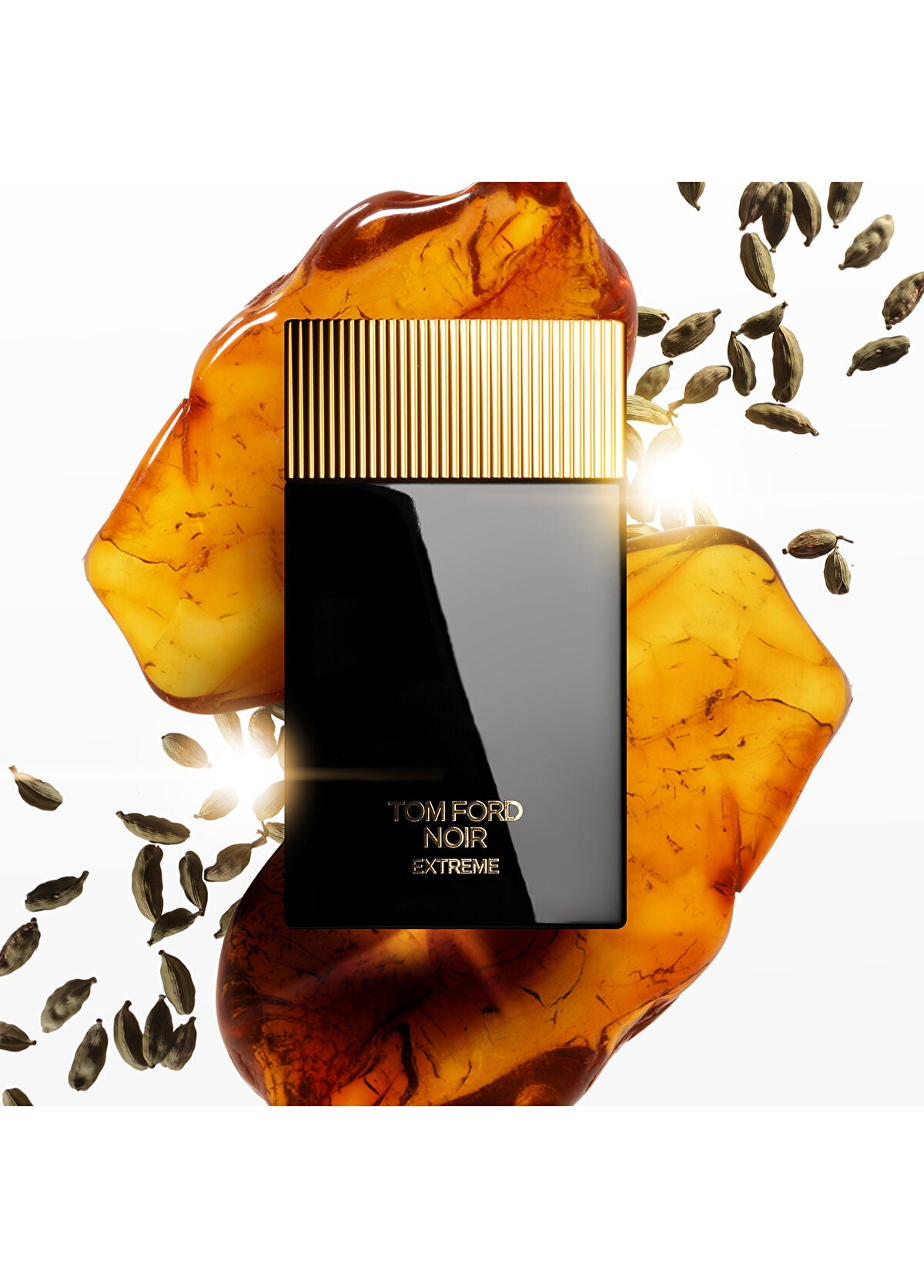 Tom Ford Noir Extreme EDP 100ml -ERKEK